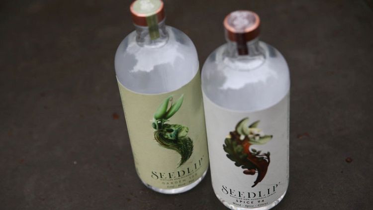 Diageo buys majority stake in non-alcoholic spirit maker Seedlip