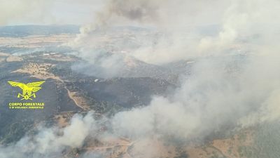 Incendio Nuorese, in azione 4 Canadair