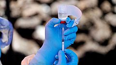 Two vaccines show significant promise in fight against deadly Ebola virus