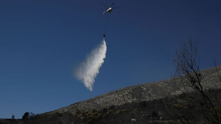 حريق غابات يستعر في جزيرة إيفيا اليونانية والدخان يصل أثينا