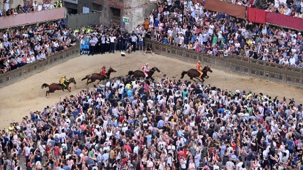 Palio, sorte bacia Onda, Selva e Istrice Palio, sorte bacia Onda, Selva e Istrice