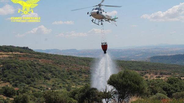 Incendi: allerta arancione in Sardegna Incendi: allerta arancione in Sardegna