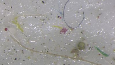 'Punch in the gut' as scientists find micro plastic in Arctic ice 'Punch in the gut' as scientists find micro plastic in Arctic ice