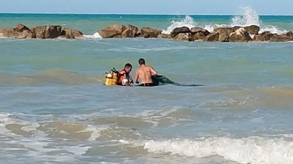 Morti i due fratellini dispersi in mare Morti i due fratellini dispersi in mare