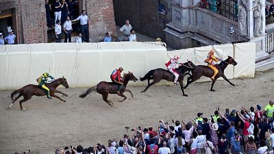 Palio Siena:Istrice vince prova generale Palio Siena:Istrice vince prova generale