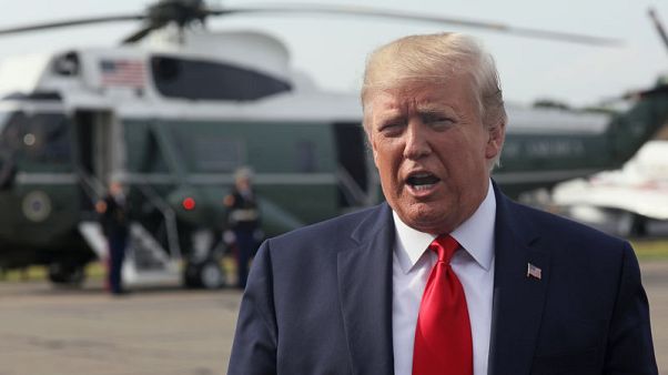 Trump blames mass shootings on mentally ill, calls for more mental institutions Trump blames mass shootings on mentally ill, calls for more mental institutions