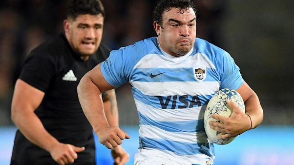 Argentina lose experienced hooker Creevy for Boks test Argentina lose experienced hooker Creevy for Boks test