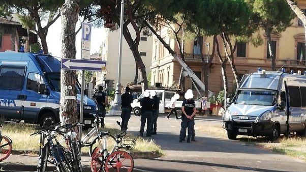 Tensione per taglio pini a Firenze Tensione per taglio pini a Firenze