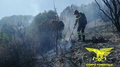 Incendi,3 Canadair in azione in Sardegna Incendi,3 Canadair in azione in Sardegna