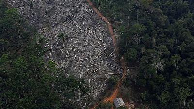 Deforestation in Brazil, vote in Argentina endanger EU-Mercosur pact Deforestation in Brazil, vote in Argentina endanger EU-Mercosur pact