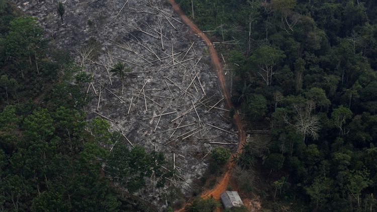 Deforestation in Brazil, vote in Argentina endanger EU-Mercosur pact