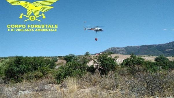 Incendi: prorogata allerta in Sardegna Incendi: prorogata allerta in Sardegna