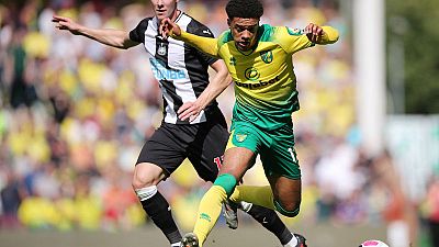 Pukki hat-trick gives Norwich win over Newcastle Pukki hat-trick gives Norwich win over Newcastle