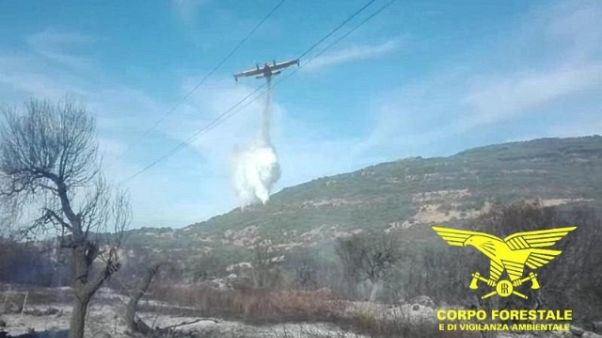 Sardegna: 6 roghi spenti con mezzi aerei Sardegna: 6 roghi spenti con mezzi aerei
