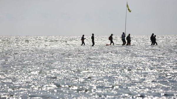 Poles wade through Baltic 'like herrings' to commune with the sea Poles wade through Baltic 'like herrings' to commune with the sea
