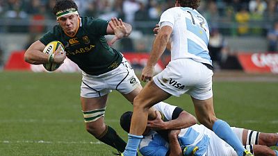 South Africa loose forward Coetzee out of World Cup South Africa loose forward Coetzee out of World Cup