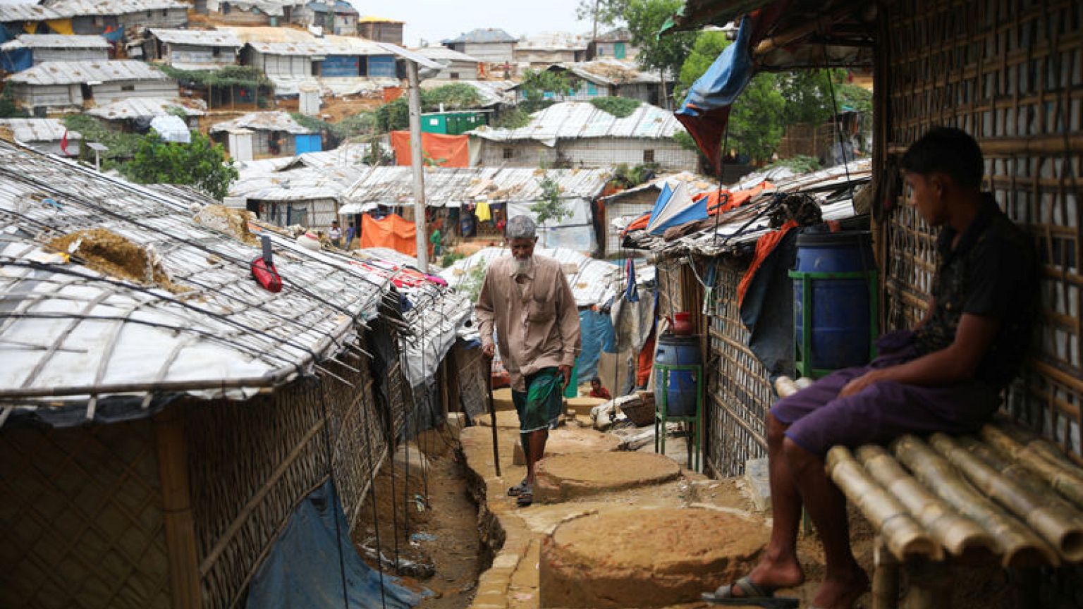 U.N. agency, Bangladesh begin survey of Rohingya over return to Myanmar