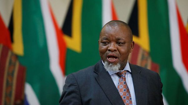 South Africa will look into modular nuclear technology: energy minister South Africa will look into modular nuclear technology: energy minister