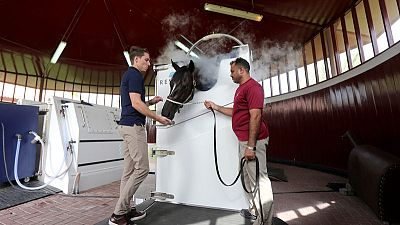 Dubai uses extreme cold cryotherapy to treat racehorses in world first Dubai uses extreme cold cryotherapy to treat racehorses in world first