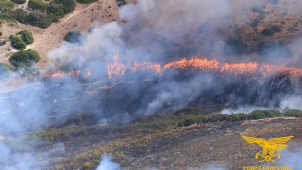 Prorogata allerta incendi in Sardegna Prorogata allerta incendi in Sardegna