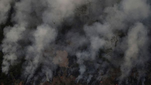 The sky never goes dark while the Amazon burns The sky never goes dark while the Amazon burns