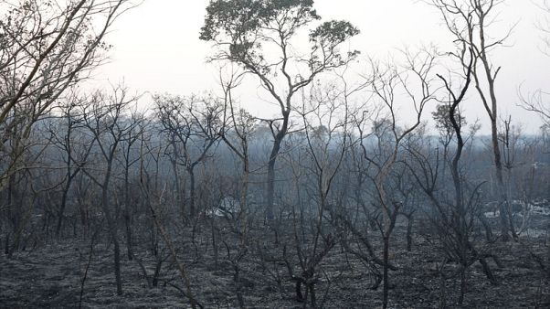 With wildfires raging, Bolivia seeks help from Supertanker plane With wildfires raging, Bolivia seeks help from Supertanker plane