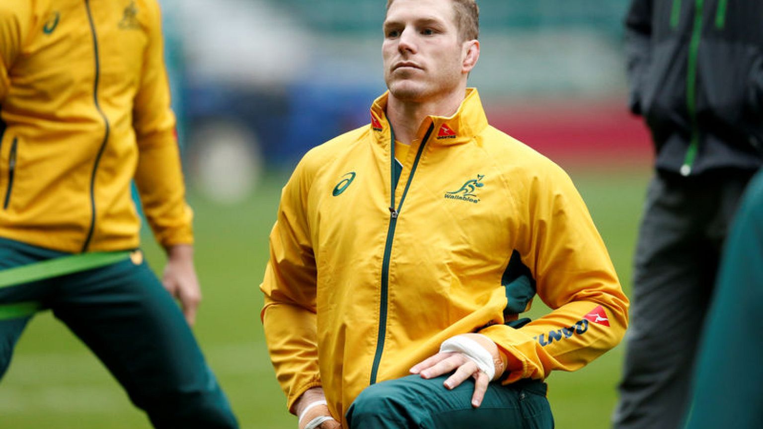 Cheika names Pocock, uncapped Petaia in World Cup squad