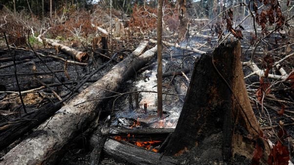 Exclusive: As Amazon fires rage, Brazil tells diplomats to fix image Exclusive: As Amazon fires rage, Brazil tells diplomats to fix image
