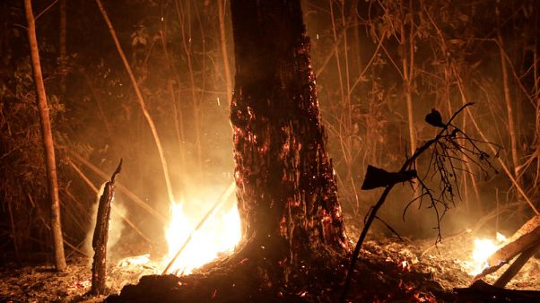Brazilian states ask for military help as Amazon fires rage Brazilian states ask for military help as Amazon fires rage