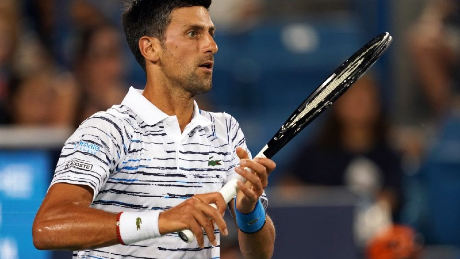 Djokovic says has read Gimelstob victim statements