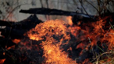 G7 nations close to agreement on tackling Amazon fires - Macron says G7 nations close to agreement on tackling Amazon fires - Macron says