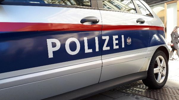 Nuovo colpo contro 'trafficanti funghi' Nuovo colpo contro 'trafficanti funghi'