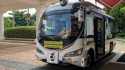 Automated buses dodge peacocks, tourists and plants in Singapore test Automated buses dodge peacocks, tourists and plants in Singapore test