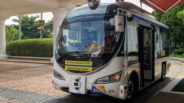 Automated buses dodge peacocks, tourists and plants in Singapore test Automated buses dodge peacocks, tourists and plants in Singapore test
