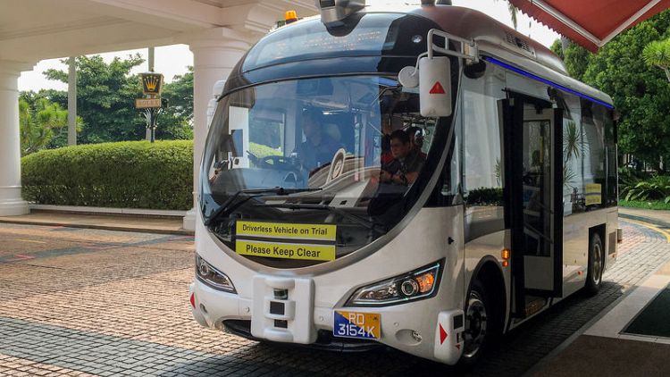 Automated buses dodge peacocks, tourists and plants in Singapore test