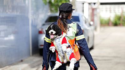 A dog's life: Bangkok street sweeper carries pet to work A dog's life: Bangkok street sweeper carries pet to work