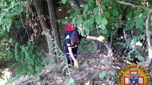 Scomparsi Piacenza, ricerche senza sosta Scomparsi Piacenza, ricerche senza sosta