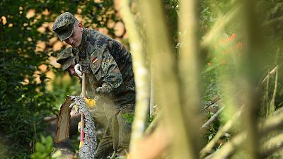 Thirsting, ill and ablaze, Germany's forests in critical state, minister says Thirsting, ill and ablaze, Germany's forests in critical state, minister says