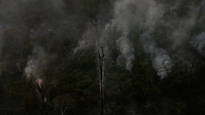 Amazon fires pose health risks to children - WHO Amazon fires pose health risks to children - WHO