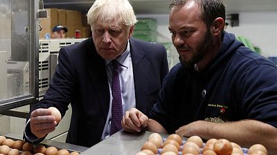 UK farmers call for import tariffs on agricultural products in no-deal Brexit UK farmers call for import tariffs on agricultural products in no-deal Brexit