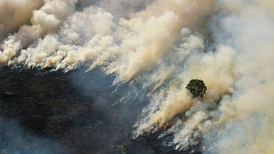 Malaysia Complains Of Smog From Indonesia As Forest Fires Flare Euronews