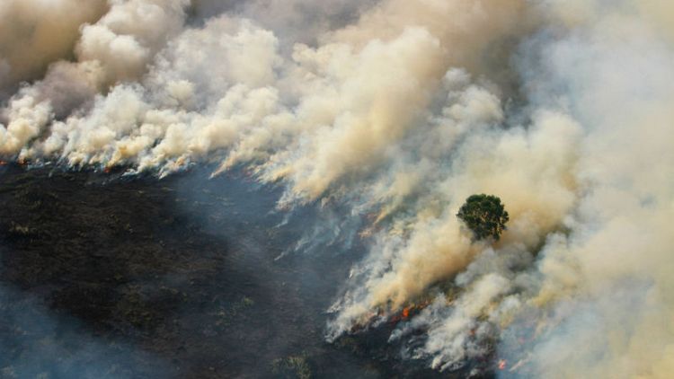 Malaysia complains of smog from Indonesia as forest fires flare