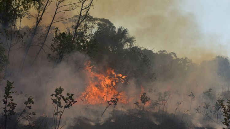 Brazil deforestation rises in August, adding to Amazon fire worries