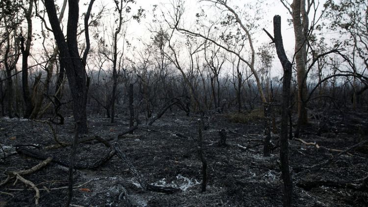 As Bolivian forests burn, Evo's bet on Big Farming comes under fire