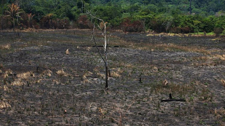 'Day of Fire': Blazes ignite suspicion in Amazon town