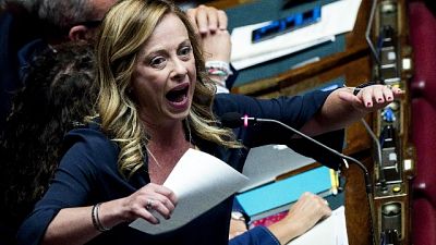 Meloni, Colle fermi proporzionale Meloni, Colle fermi proporzionale