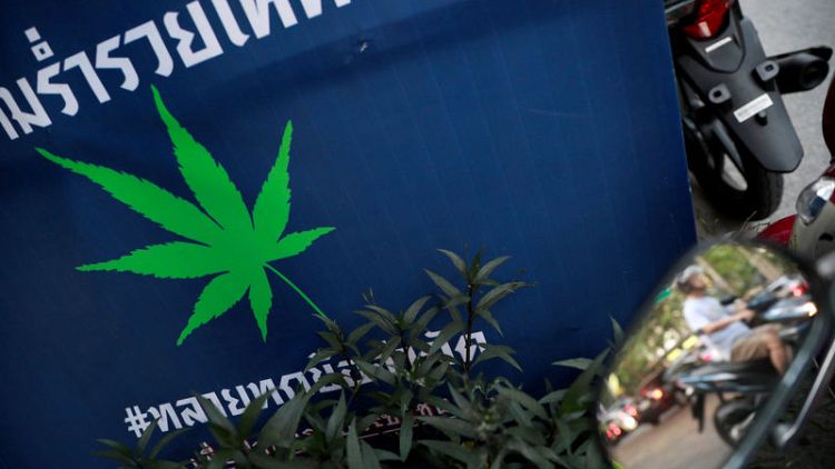 Thais allowed six cannabis plants per household under draft law