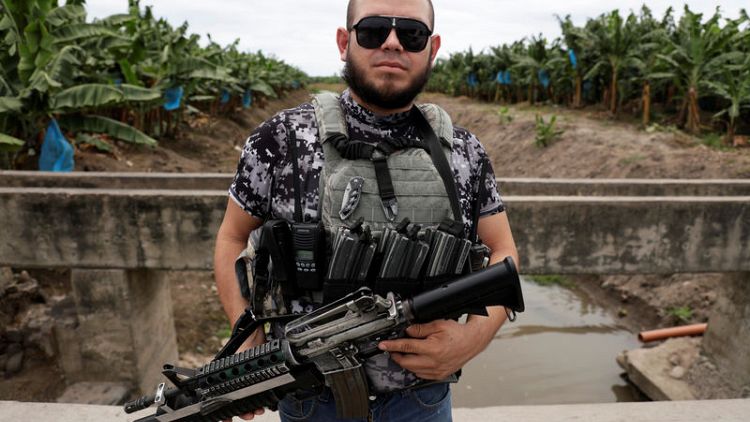 Mexico's Wild West: vigilante groups defy president to fight cartels