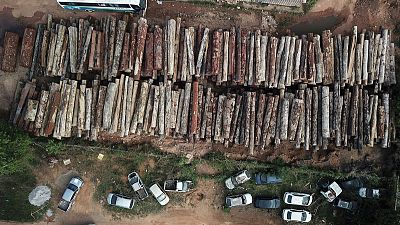 Hundreds killed in Brazil's Amazon over land, resources in past decade - HRW report