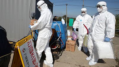 South Korea confirms second case of deadly African swine fever, pledges vigilance